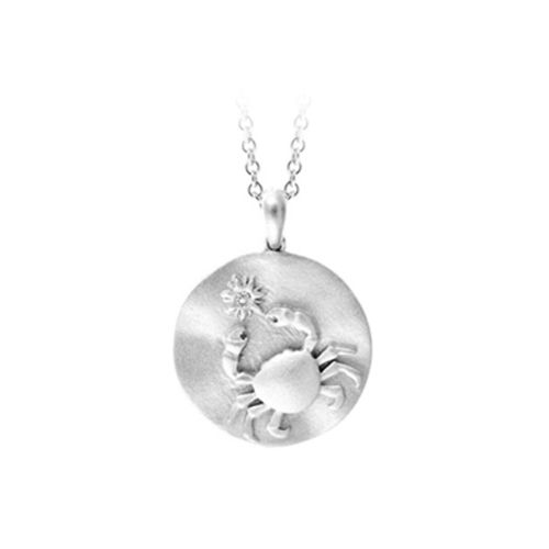 Silver Zodiac Pendant
